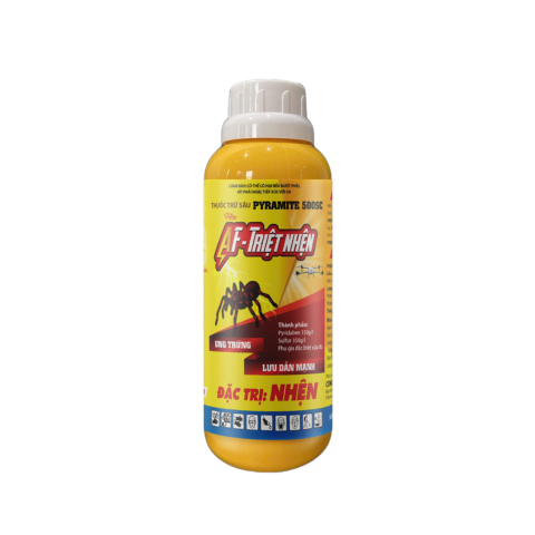 AF - TRIỆT NHỆN