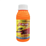 AF-TRIỆT NHỆN