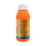 AF-TRIỆT NHỆN