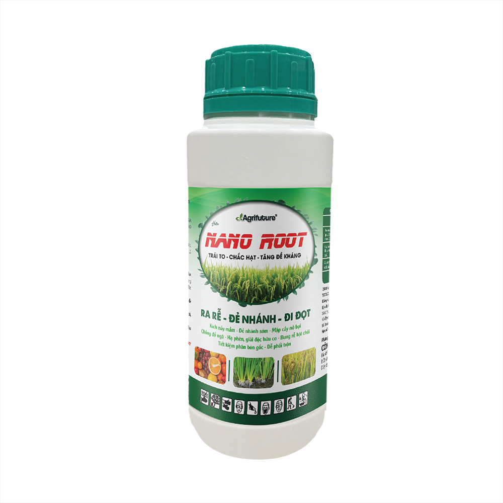 Nano Root