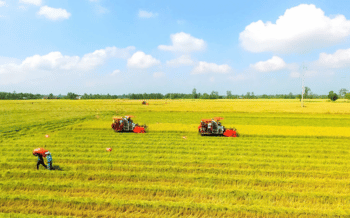 NÂNG CAO "SỨC KHỎE" ĐẤT TRỒNG TRỌT