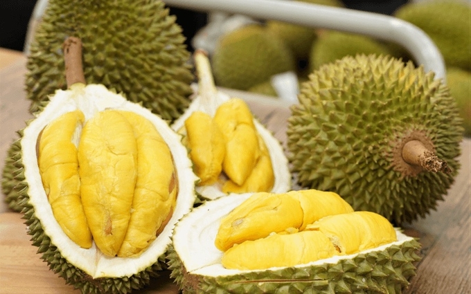 LÔ HÀNG SẦU RIÊNG, MÍT CỦA VIỆT NAM BỊ TRUNG QUỐC CẢNH BÁO KHÔNG ĐẠT CHUẨN KIỂM DỊCH